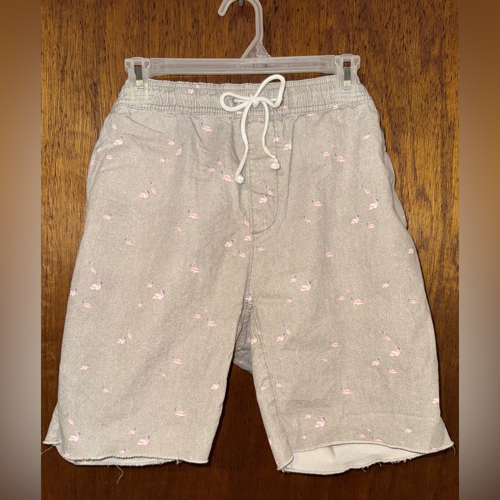 Hollister Flamingo Shorts ~ Men’s Size Medium